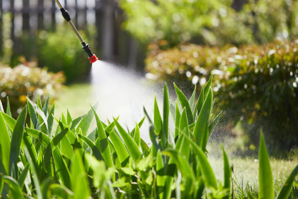 24/7 Emergency Mosquito Control experts in Burkesville, KY