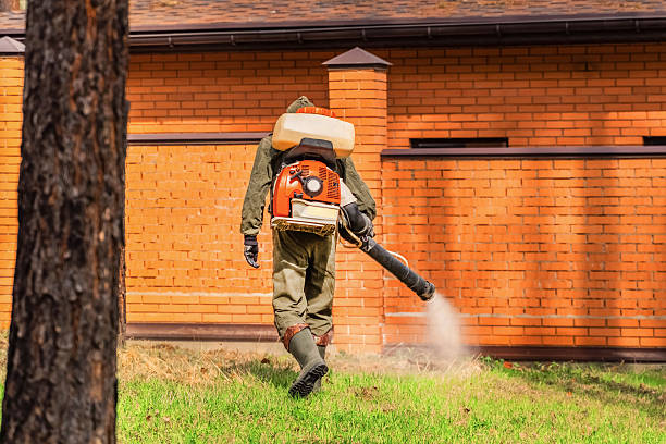 Top rated local Mosquito Control specialists in Burkesville, KY